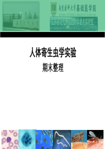 寄生虫实验寄生虫实验整理(重点版)课件