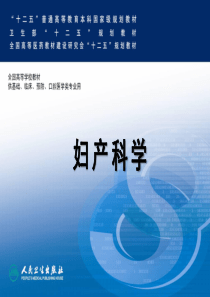 女性生殖系统解剖