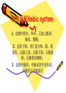 边缘系统limbic system