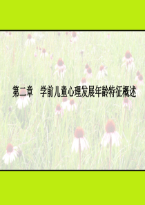 学前儿童心理发展年龄特征概述.
