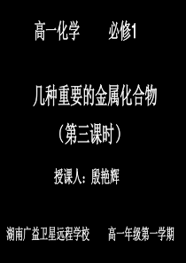 20081119高一化学(3-2铁的重要化合物)