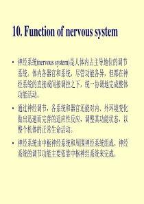 动物生理学10.神经系统的功能(上)