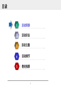 援藏十年-活动策划案11