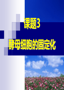 酵母细胞的固定化(定)90138