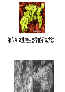 第六章-微生物生态学的研究方法