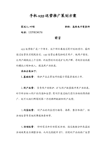 手机app运营推广策划方案