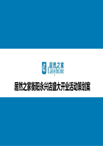居然之家永兴店盛大开业活动策划方案