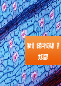 1.1细胞中的无机物-糖类和脂质一轮复习