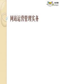 网站运营管理实务