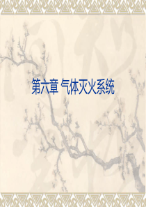 4第六章气体灭火系统详解