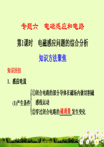 【步步高】高考物理二轮 复习与增分策略 专题六 第1课时 电磁感应问题的综合分析课件