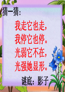 2016年秋季部编版《影子》课件