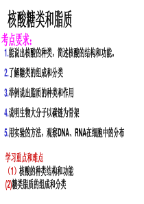 一轮复习课件核酸、糖类和脂质