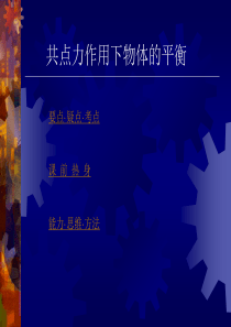 2008届高考物理复习精品课件专题之共点力作用下物体的平衡