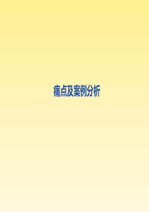 痛点及样例分析