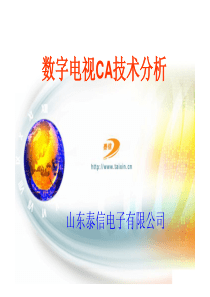 数字电视CA技术分析