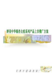 婷美中华银杏去痘系列产品上市推广方案
