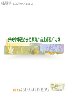 婷美中华银杏去痘系列产品上市推广方案（PPT45页）