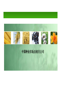 2015-12-30-中国种业市场分析