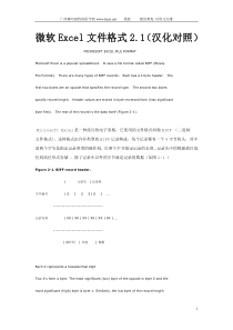 微软Excel文件格式2.1(汉化对照)