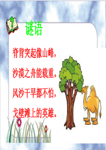 16《找骆驼》PPT课件 (2)