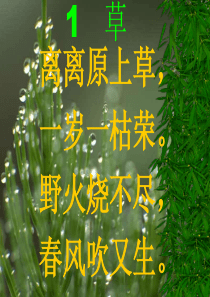 古诗草PPT课件