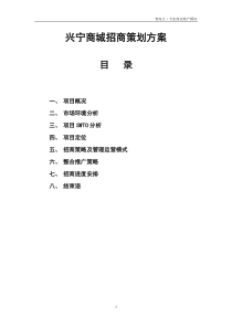 兴宁商城招商策划方案