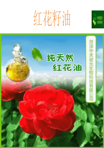 红花籽油