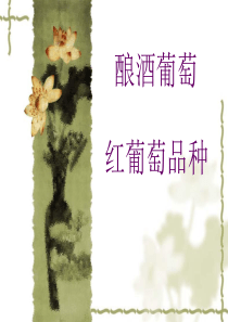 红葡萄酒品种(培训稿)