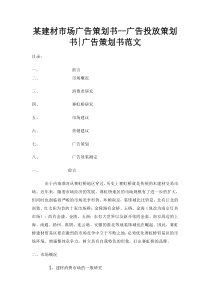 某建材市场广告策划书