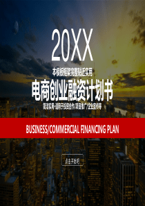 新型电商平台项目融资计划书ppt