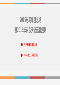 2015年电商工作总结及2016年渠道运营规划