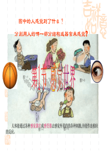 浙教版七年级科学下册-第二章-2.1感觉世界-(32张PPT)