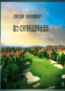 富力海口红树湾新品发布会活动（PPT37页）