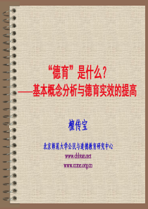 檀传宝-德育概念分析