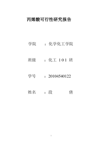 丙烯酸可行性研究报告..