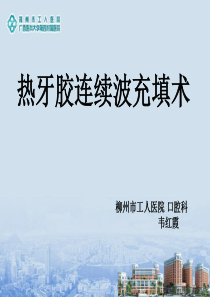 根管充填技术ppt课件