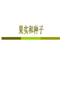 果实种子类药材