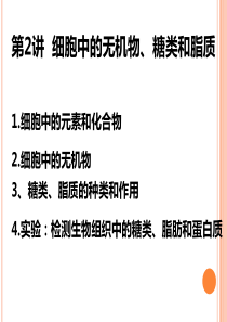第2讲--细胞中的元素、无机物、糖类和脂质--一轮复习