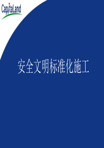 成都安全文明标准化施工
