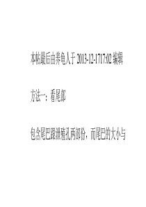 龟龟性别鉴定的终极图文教程