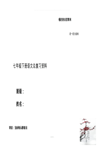 人教版七年级下册语文总复习资料(大全)
