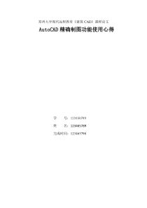论文郑州大学AutoCAD精确制图功能使用心得体会