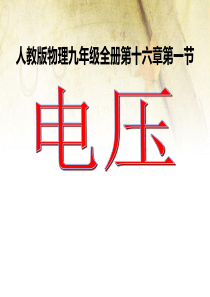 16.1电压1解析
