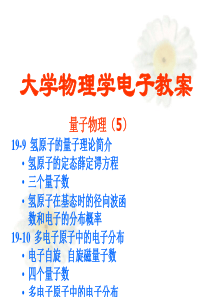 大学物理学电子教案---氢原子的量子理论简介