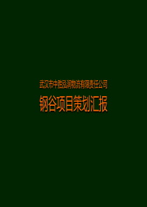 武钢国际物流园项目策划汇报(定稿)