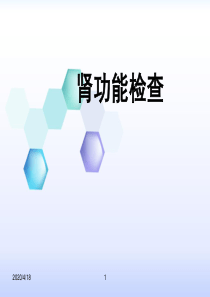 肾功能检查PPT课件