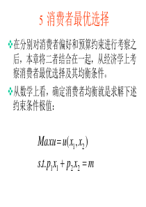 消费者最优选择