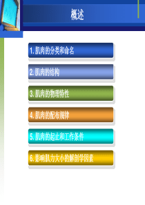 5.1-骨骼肌