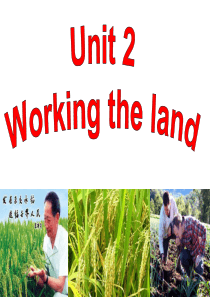 最新人教版高中英语必修四UNIT2-WORKING-THE-LAND精品ppt课件